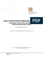 Polluter Pays Principle in India: Assessing Conceptual Boundaries and Implementation Issues