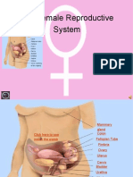 The Female Reproductive System Final 1