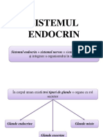 11 Sistemul Endocrin Prezentare