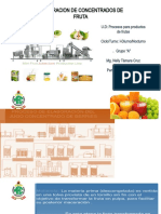 N° 5 Elaboracion de Concentrados de Frutas