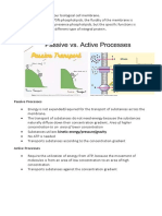 BIOL111 Cell Transport Lecture Notes