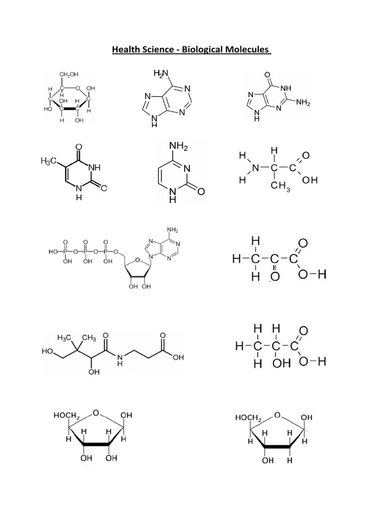 Biological molecules PDF
