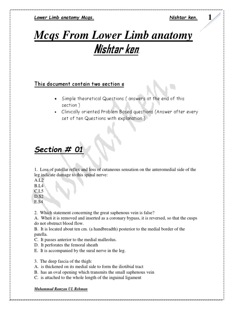 Lower Limb Anatomy Quiz | PDF | Human Leg | Foot