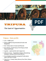 Tripura - Land of Opportunities