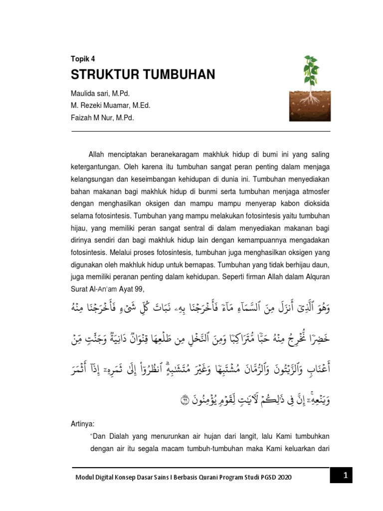 Struktur Tumbuhan | PDF