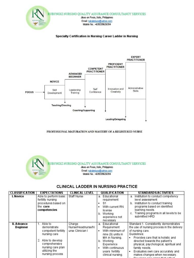 nursing-career-ladder-in-nursing-pdf-nursing-health-care