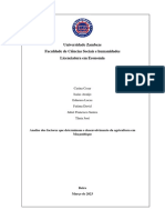 Analise Dos Factores Que Determinam o Desenvolvimento Da Agricultura em Mocambique