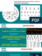 Practica 3 Elaboración Del Cariograma DMSH