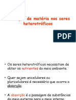 Resumo - Obtenção Da Matéria Pelos Seres Heterotr