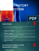 Zoo 1 PPT 10 Respiratory (2015)