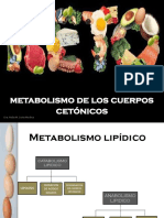 Metabolismo de Cuerpos Cetónicos
