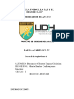 Organizador Gragico T N2 PsicologiaGeneral