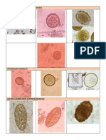 PARASITOLOGY