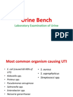 4 - Urine Bench