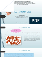 ACTINOMYCES Seminario