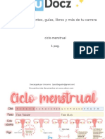 Ciclo Menstrual 175485 Downloable 1272117