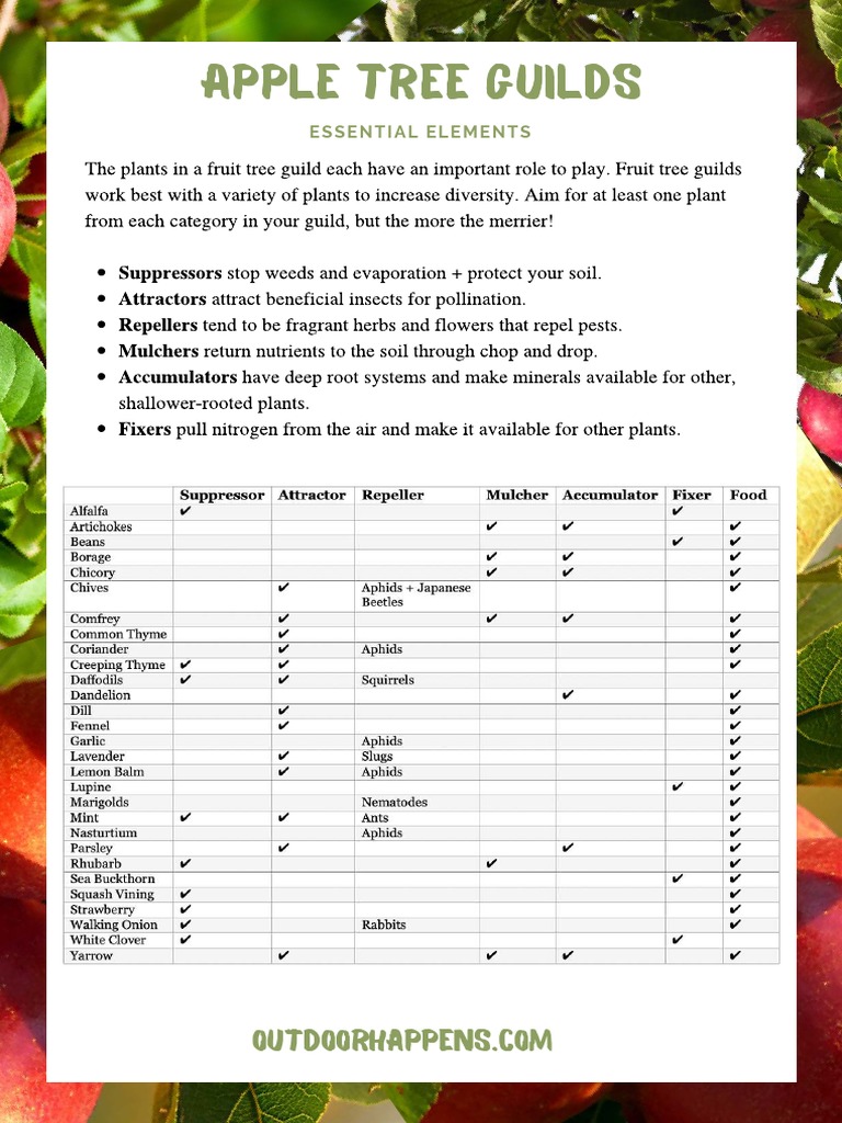 Apple Tree Guilds PDF