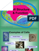 21b - Cell - Structure - Function 2 &quiz