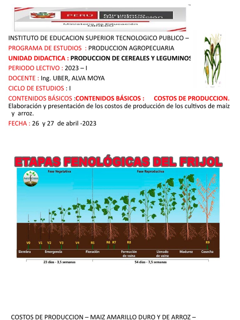 clase4-maiz-2023-pdf
