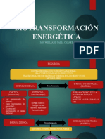 Biotransformación Energética