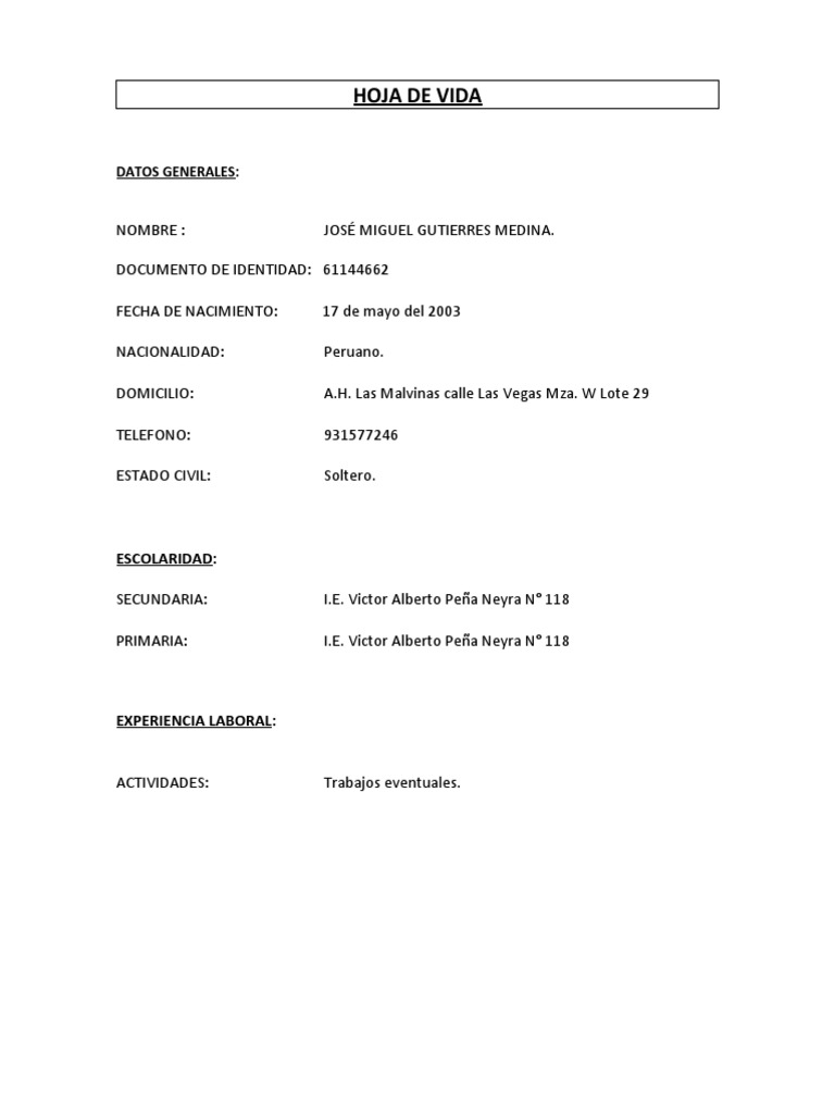 Hoja de Vida Jote PDF