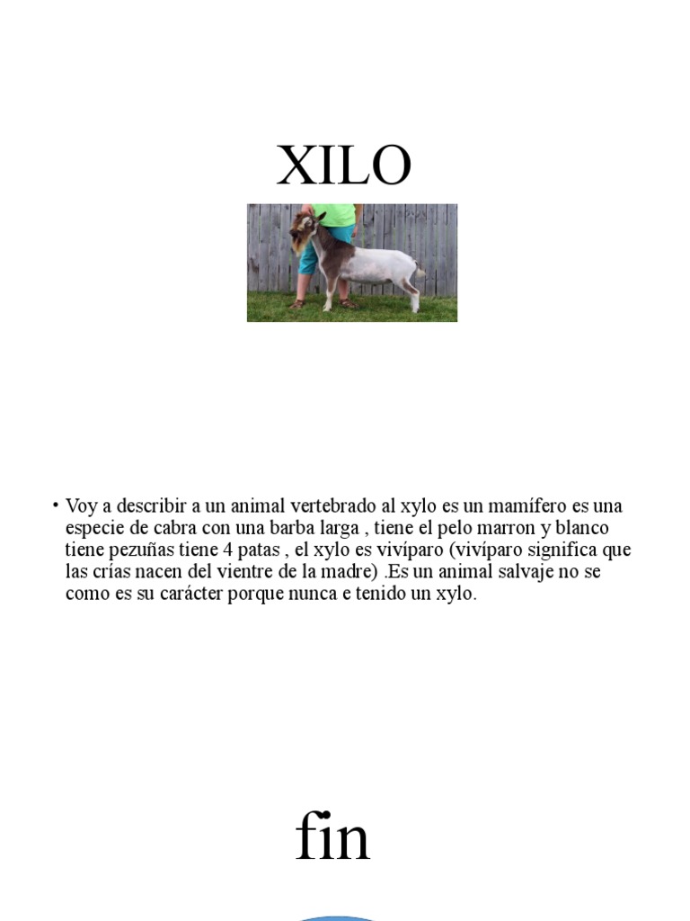 Descripción del animal Xilo | PDF