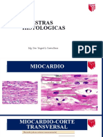 Laminas Histologicas Corazon Parte 2