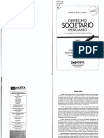 Derecho Societario Peruano-Tomo I