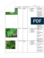 CATUBIG MSTE 111 Herbal Plants