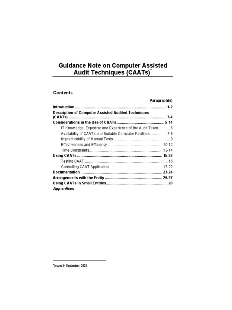 CAATs in Auditing: Techniques and Guidance | PDF | Audit | Computer Program