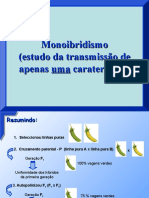 6 Monoibridismo