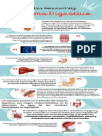Sistema Digestivo
