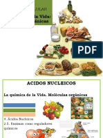 Biomoleculas Ac. Nucléicos (5) 22-23