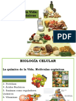 Biomoleculas - Proteínas (4) 23-23