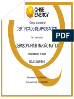 PISCO367 - Certificado Inducción Pisco