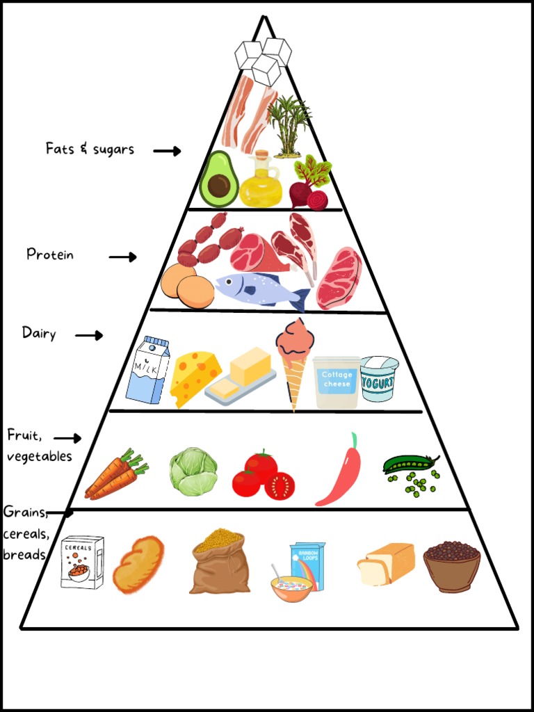 Food Pyramid | PDF