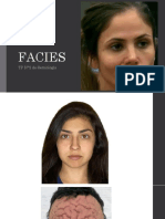 FACIES Nuevo