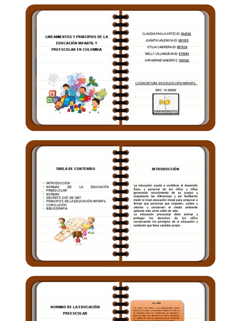 Lineamiento Educativo Nelly | PDF | Educación de la primera infancia
