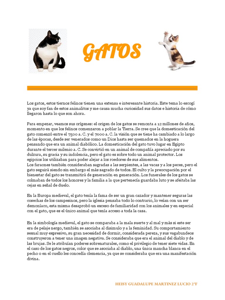 Guia para um gato de 14 vidas pdf by ometodox1 - Issuu