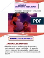 Clase 2 Embarazo Normal - Control Pre-Natal (Autoguardado)