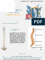 CERVICALGIAAAA G