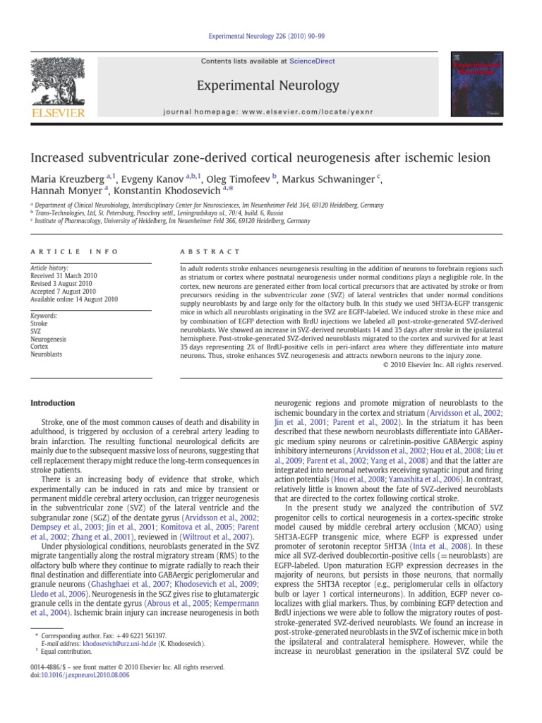 TMP 54 A | PDF | Cerebral Cortex | Neurogenesis