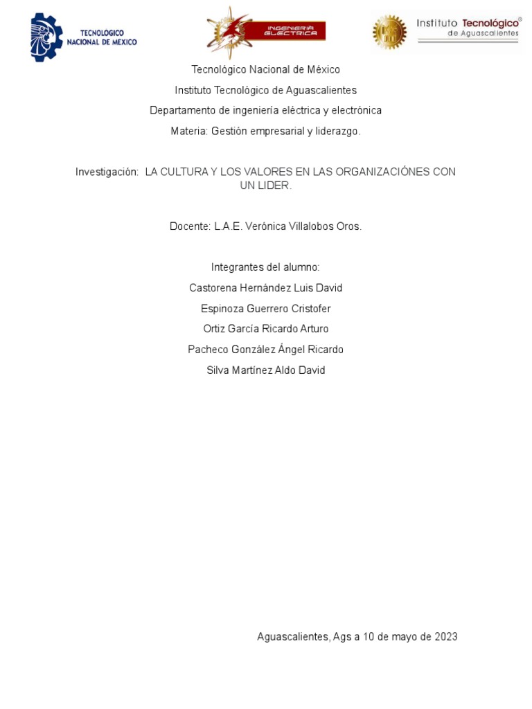 Cultura y Liderazgo en Organizaciones | PDF | Cultura organizacional ...