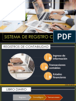 III. Sistema de Registro Contable