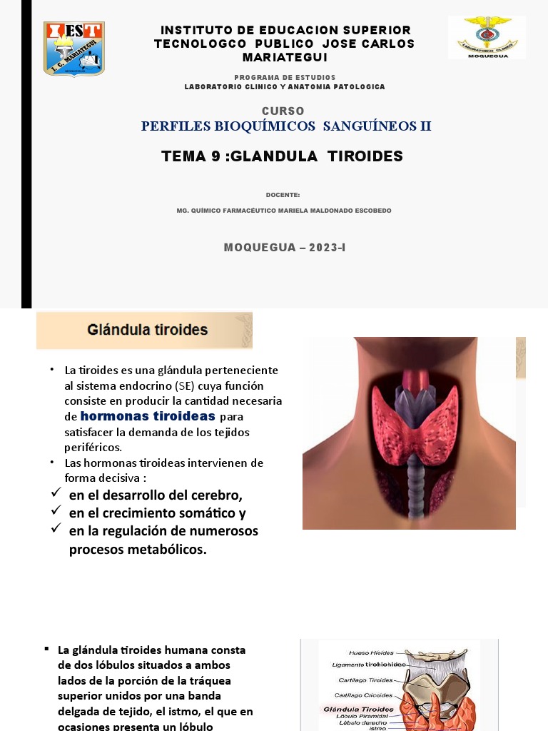 Anatomía y Función de la Tiroides | PDF | Tiroides | Hormona