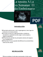 Embriologia Disertacion-1