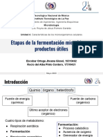 Seminario U4 Micro