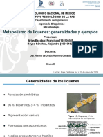 Presentación. Seminario Unidad 4. Microbiología