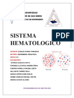 Sistema Hematologico Informe