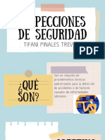 Inspecciones de Seguridad